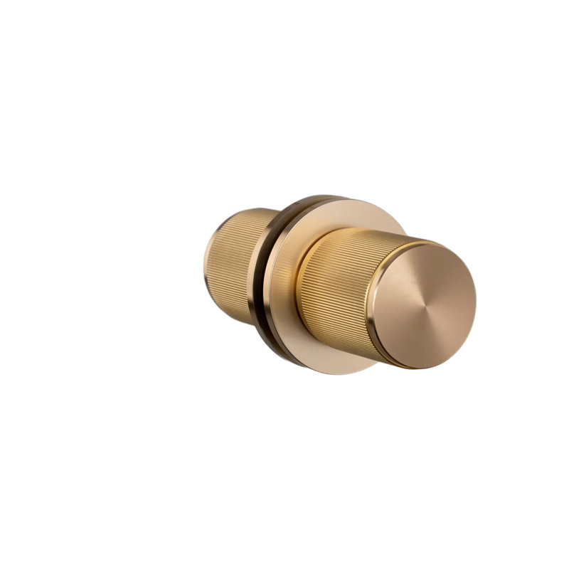 Cylindrical Knob with Round Rosette, Brass