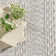 Catharine Indoor / Outdoor Rug