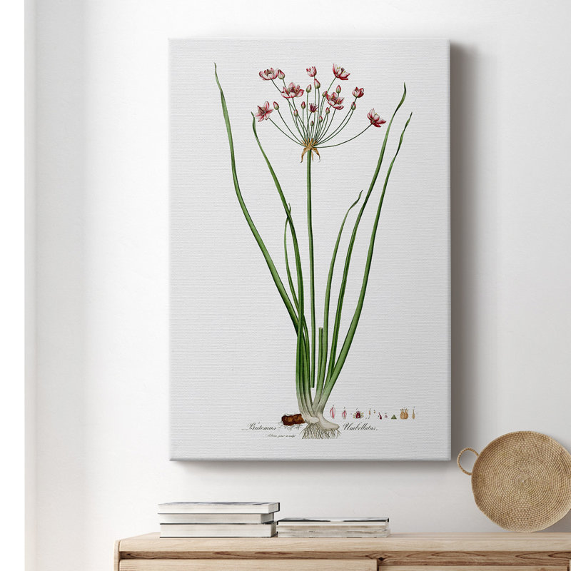 " Botanical II "