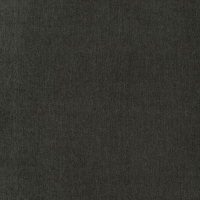 Whistler Velvet Fabric