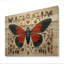 Insectes insectes, petites merveilles III sur bois-1331652917
