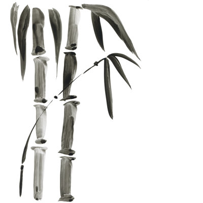 Peinture de bambou Firdes par Katyau