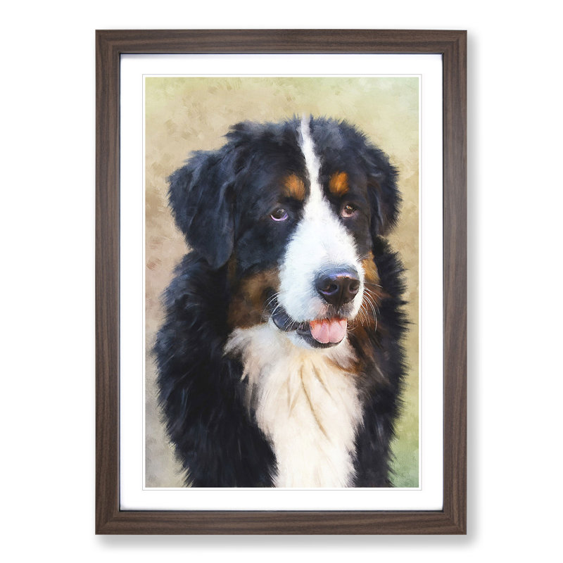 Bermese Mountain Dog - Picture Frame Painting, 48cm H x 36cm W x 2cm D, Walnut Framed