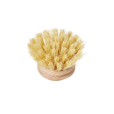 Euro Dish Brush Replacement Head