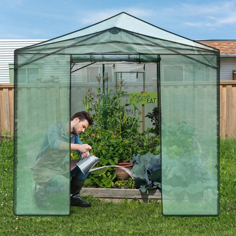 11 Ft W x 7 Ft D Greenhouse