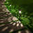 Low Voltage Solar Powered Integrated LED Pathway Light Pack