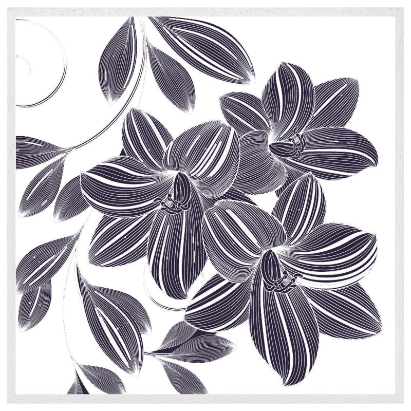 Tihiri Orchids - Single Picture Frame Print, 41cm H x 41cm W x 4cm D, White Framed