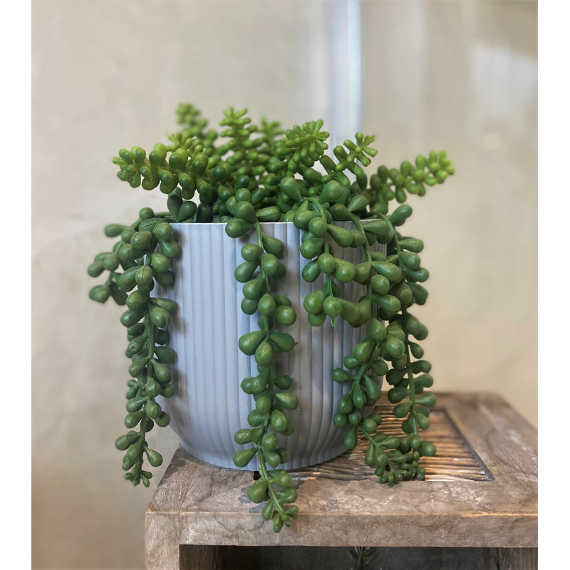 Pot Planter, 12.90cm H x 14.50cm W x 14.50cm D