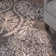 Bloomington Floral Indoor Rug
