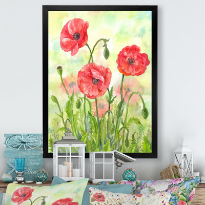 Floraison des coquelicots rouges - activé