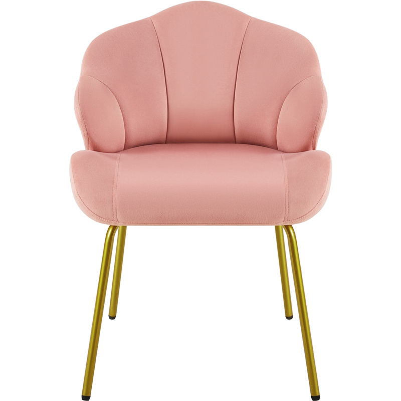 Aaliyiah Contemporary and Classic Velvet Accent Chair, Pink