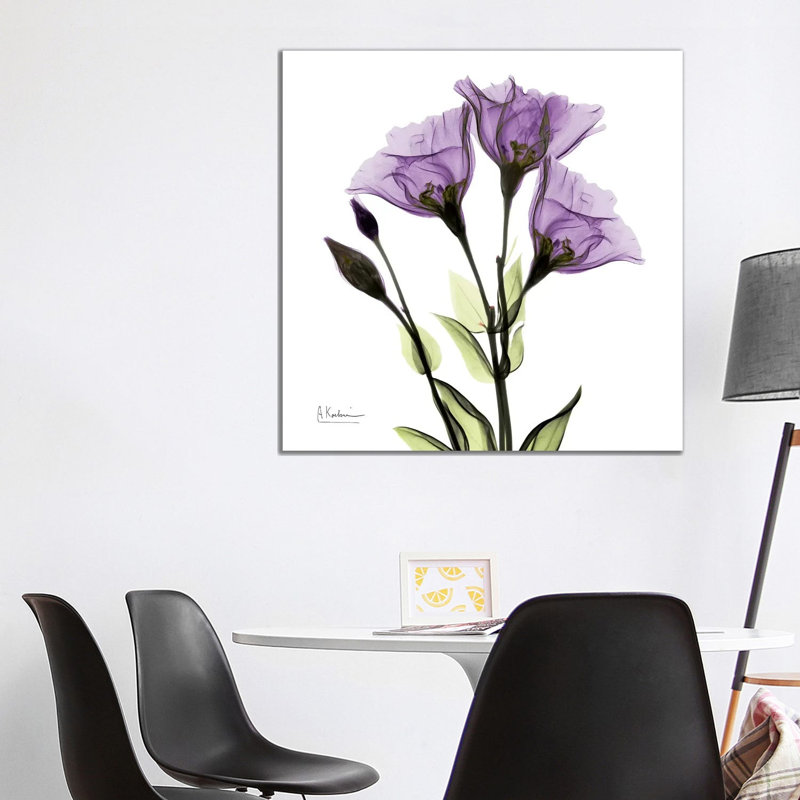 Gentian Believe by Albert Koetsier - Wrapped Canvas Print, 93.98 cm H x 93.98 cm W x 1.91 cm D