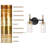 2-Light Dimmable Transparent Glass Modern Vanity Light-343299665-343299678