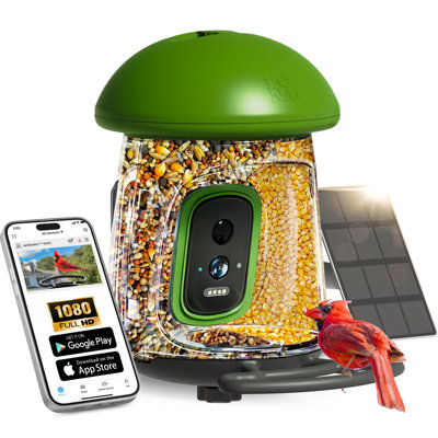 LONA Bird Feeder with Camera with AI Identify Birds Species Solar Panel, 1.3 L Smart Bird House with Cam