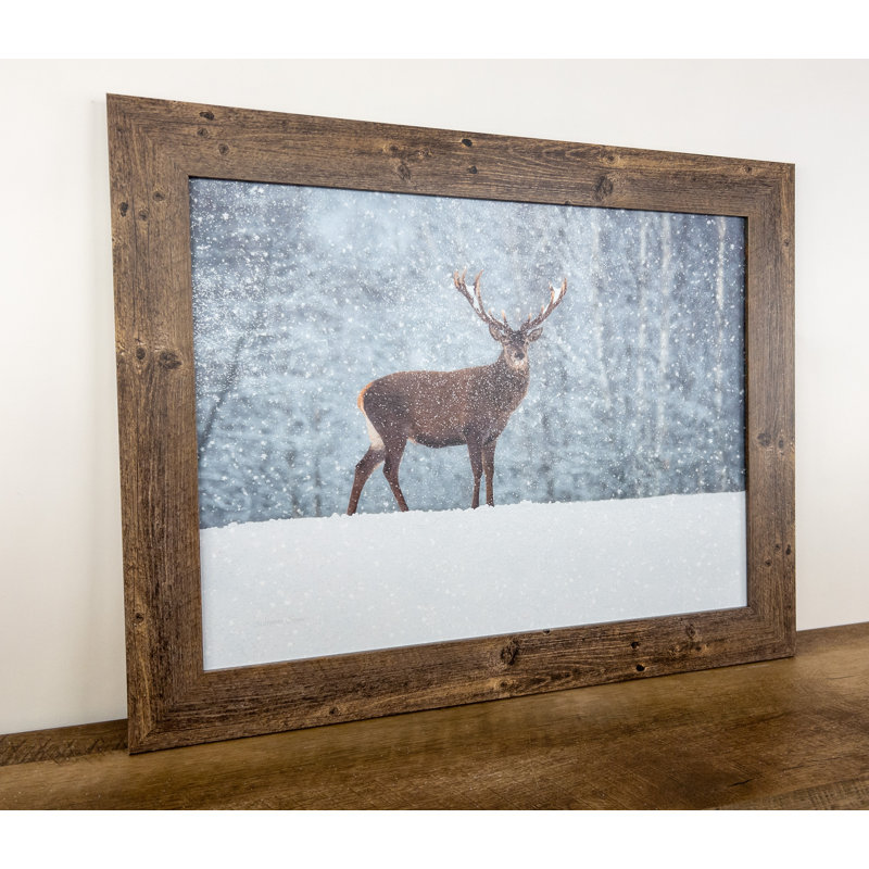 " Deer In Snow "