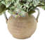 Silk Faux Floral in Vase