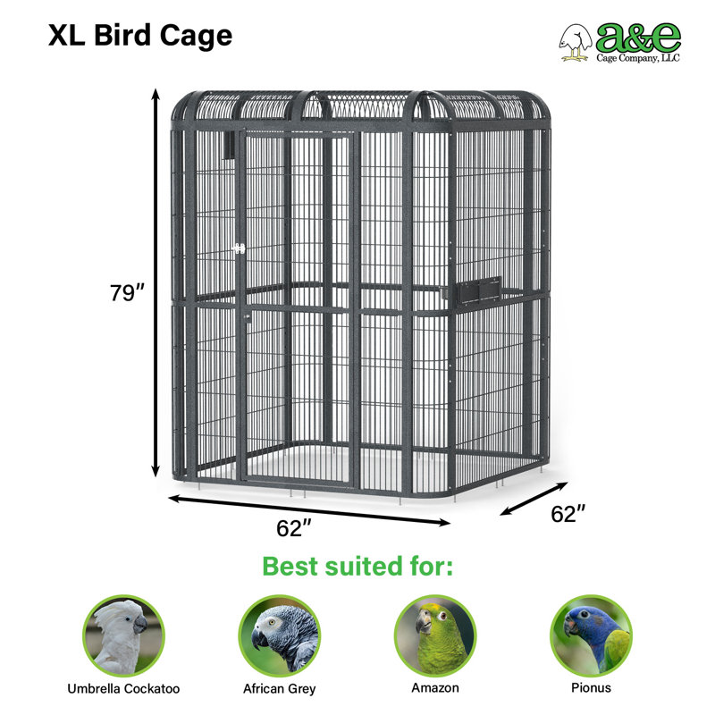 62"x62" Walk In Aviary by A&E, Black
