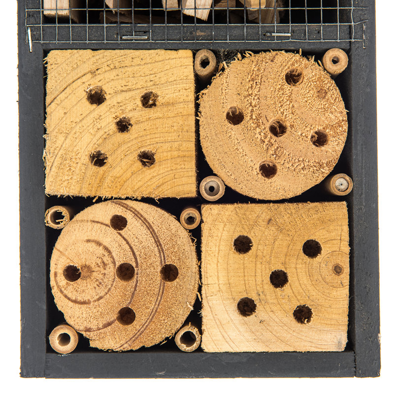 Abeline Mounted Bird House