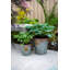 Cassandra Metal Cachepot-1498143597
