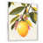 Cadre flottant blanc