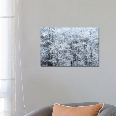Winter Fog 1 Piece Wrapped Canvas Wall Art