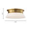 Dartmore 2 - Light Flush Mount-1046491022