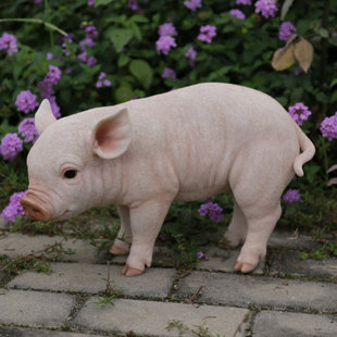 https://assets.wfcdn.com/im/29590548/resize-h310-w310%5Ecompr-r85/3584/35845747/standing-baby-pig-statue.jpg