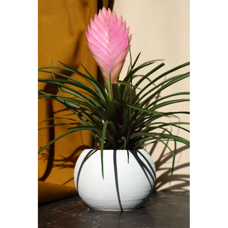 Lykeisha Handmade Pot Planter, Grey
