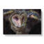 Masked Owl In Abstract - Wrapped Canvas Painting-55312430