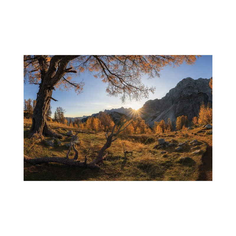 Autumn Paradise by Ales Krivec - Wrapped Canvas Print, 30.48 cm H x 45.72 cm W