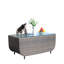 Table basse avec verre trempé