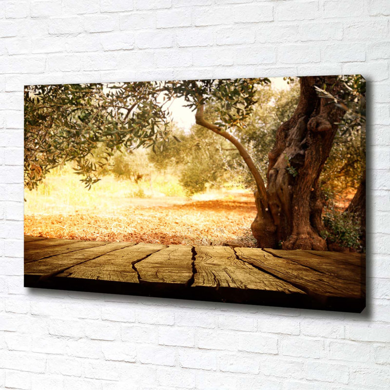 Olive Tree - Print, 70cm H x 100cm W x 4cm D, Canvas