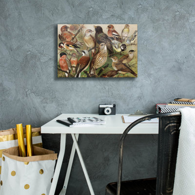 " Collection I " by PhotoINC Studio