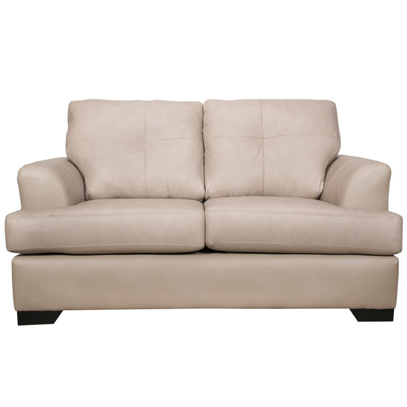 Dianne Upholstered 63'' Loveseat