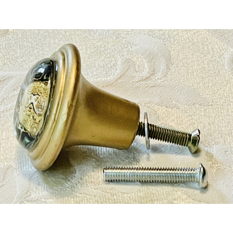 Signature Nautilus Shell Art en laiton (ensemble de 4) 