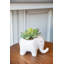 Ensemble de 3 plantes grasses artificielles dans un vase