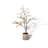 Artificial Wheat Straw Leaf Bell False Tree-111026965