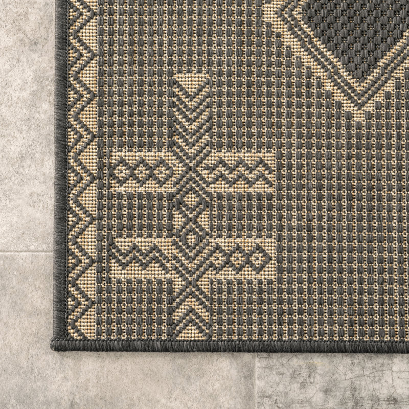 Tapis intérieur / extérieur gris anthracite Kaitlynmarie, Rectangle 4 pi x 6 pi