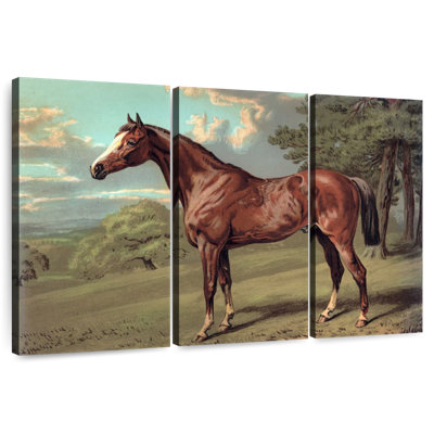 Cheval sauvage rétro