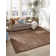 Rodolphe Performance Indoor Rug