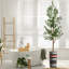 68 plantes-95099217