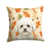 Bichon frisé blanc et crème