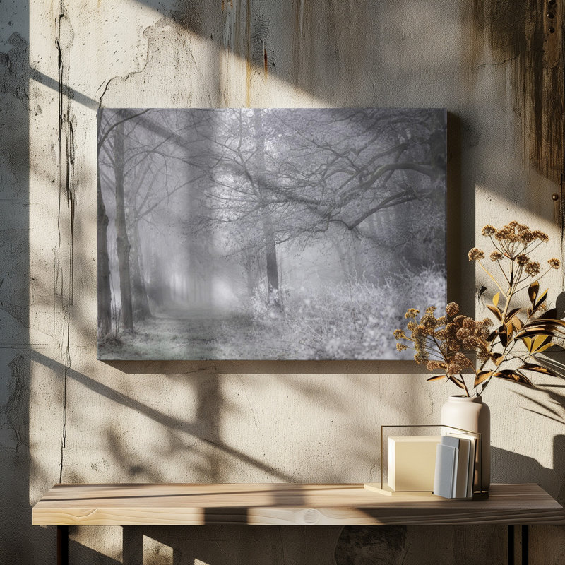 Wrapped Canvas Print, 50.8cm H x 76.2 cm W