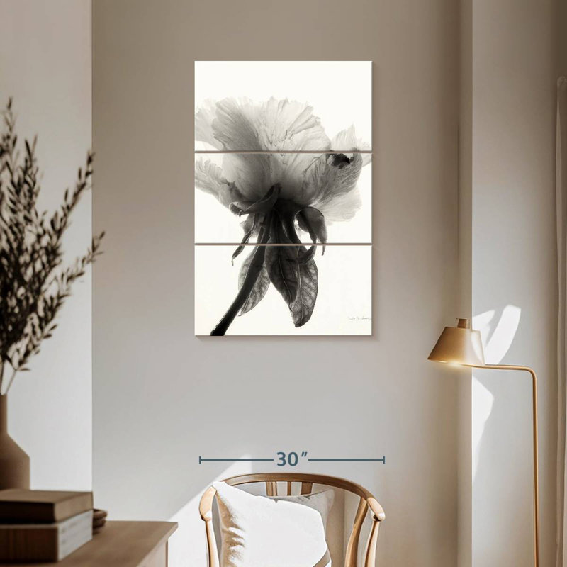 Harnek Translucent Peony II, 57" H x 36" W