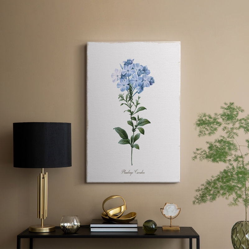 Cape Capeww - galerie Cavas sur mesure, H 18 po x l 12 po