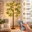 Lampe sur pied à DEL 71 po avec 8 modes d'éclairage et télécommande pour Noël, mariage et fêtes
