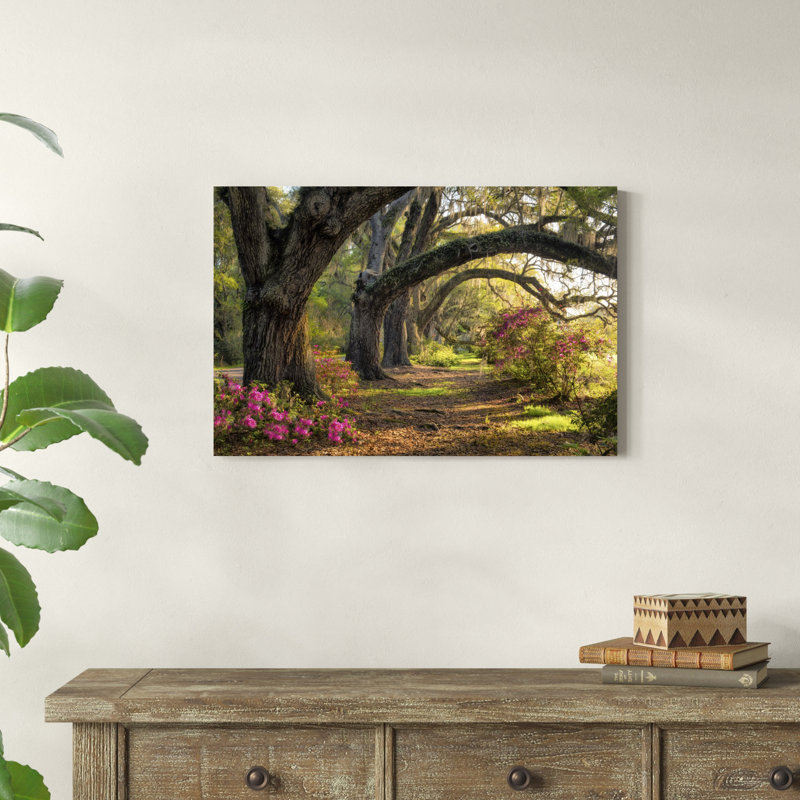 Under The Live Oaks I, H 20 po x l 30 po x P 1,25 po
