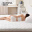 Diodorus Alwyn Home 3 po non-899756828-899756829
