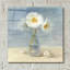 «Daisies and Shells» par Danhui Nai, art mural en verre acrylique