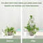 Petit treillis pour plantes en pot, plante en métal 15,94 pouces